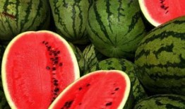 吃瓜网红故事梗概怎么写,揭秘网红吃瓜背后的故事